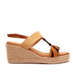 OR550 (1)
